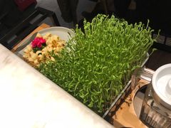 -煲宫猪肚鸡(晶品店)