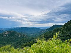 -大岭沟猕猴桃谷风景区