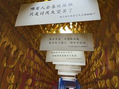 -上海外滩星空失恋减压馆(外滩旗舰馆)