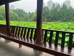 -龙头寺公园