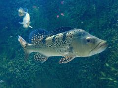 -泉城欧乐堡海洋极地世界