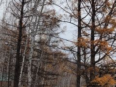 -哈乌尔河