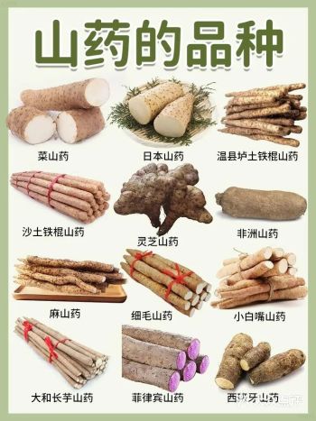 山药种类大揭秘 ，养生人必看