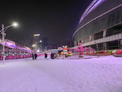-沈阳奥体冰雪嘉年华