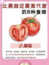 -Fundi张玉珊修身堂·indiba·BTL科技瘦身