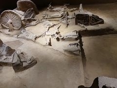 -洛阳周王城天子驾六博物馆