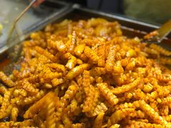 -周小亮丁家坡洋芋(全国总店)