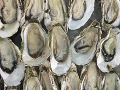-浩运·海鲜青岛菜·海胆水饺(石老人店)