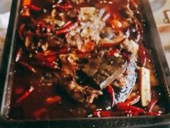 -探鱼·鲜青椒爽麻烤鱼(广州欣荣广场店)