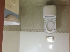 -金山农民画村-枫泾波兰倒置屋