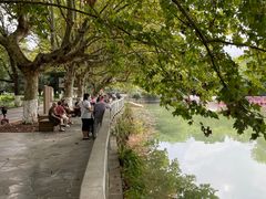 -花溪公园