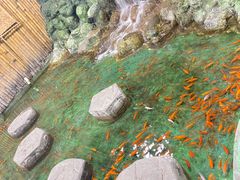 -上海大自然野生昆虫馆(东方明珠·爬宠昆虫探索中心)