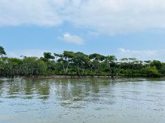 -东寨港红树林旅游区