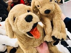 -宜家家居(哈尔滨商场店)