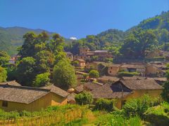 -杨家堂村