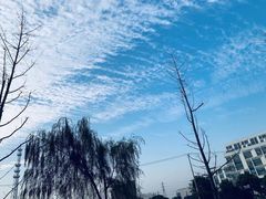 -网鱼网咖(上海静安寺店)