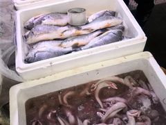 -众彩物流水产市场