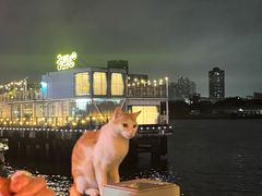 -MR.ROCKY洛奇先生·西餐&酒吧(太古仓店)