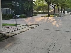 -新江湾城公园