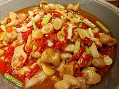 -蓉和妈妈菜·芙蓉花开(高新店)