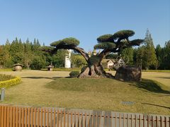 -东平国家森林公园