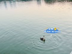-海珠湖公园