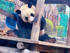 -大连森林动物园