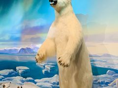 -陕西自然博物馆