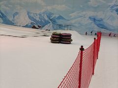 -哈尔滨热雪奇迹