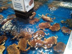 -盒马X会员店(王府井奥莱UP TOWN店)