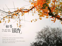 -大雁塔北广场音乐喷泉