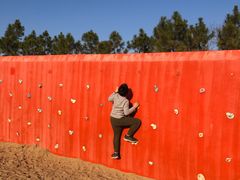 -春花秋色城市公园