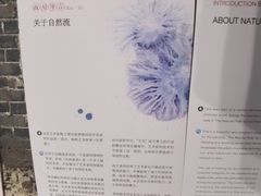 -八号桥艺术空间1908粮仓