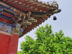 -洛阳白马寺
