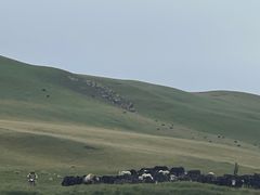 -山丹皇家马场