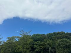 -飞凤山奥体公园