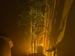 -宁采臣Sleep·采耳·SPA放松馆(湖里万达店)