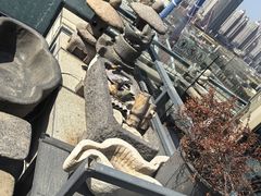 -川旺角融合菜•海景餐厅(星海广场店)