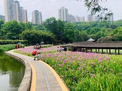 -龙头寺公园