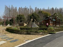 -东平国家森林公园