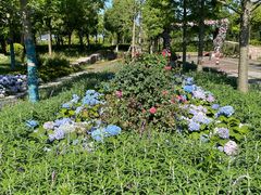 -春花秋色城市公园