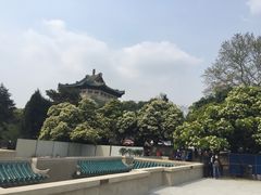 -武汉大学-樱园