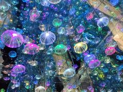 -成都梵高星空艺术馆(春熙路旗舰店)