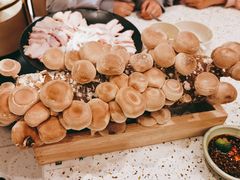 鲜活菌菇棒-椰子营·椰子鸡火锅(万象里店)