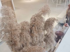 -CAKE WANG千层制造所(省府店)