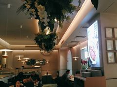 -Aqua Oasis 水天堂(太湖中心mall店)