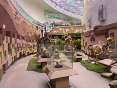 -陕西自然博物馆