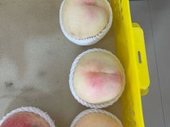 -老袁家蜜桃农场·阳山水蜜桃