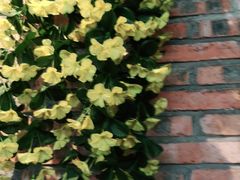 -湘邻呷铺·田园家宴(汉基广场店)