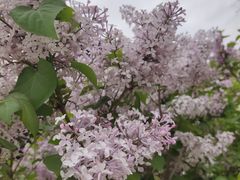 -南礼士路(地铁站)